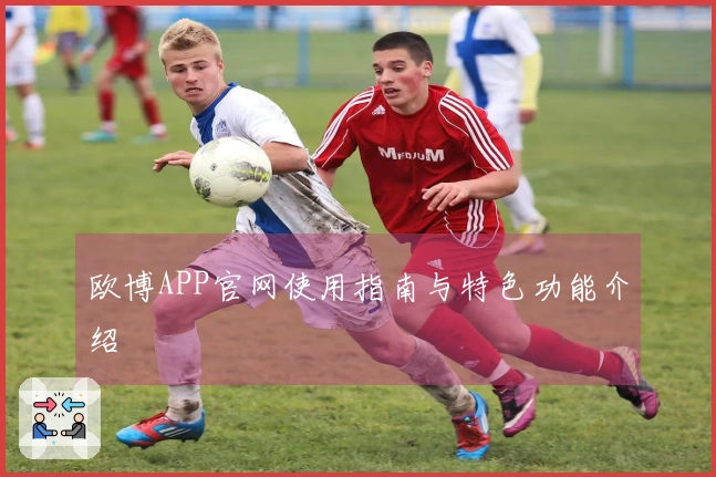 欧博APP官网使用指南与特色功能介绍