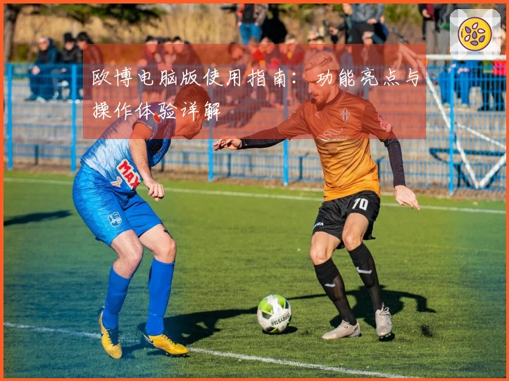 欧博电脑版使用指南：功能亮点与操作体验详解