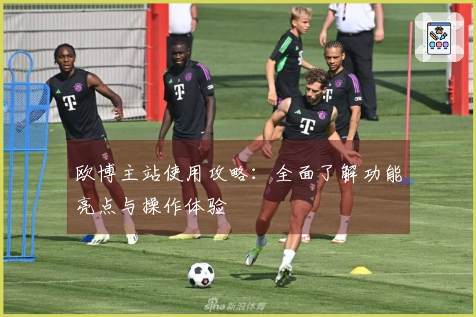 欧博主站使用攻略：全面了解功能亮点与操作体验