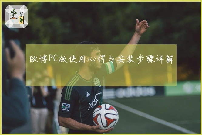 欧博PC版使用心得与安装步骤详解
