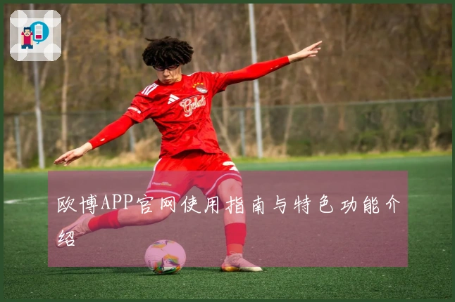 欧博APP官网使用指南与特色功能介绍